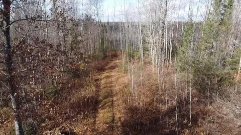Old Smith School Lane, Armstrong Creek, WI 54103