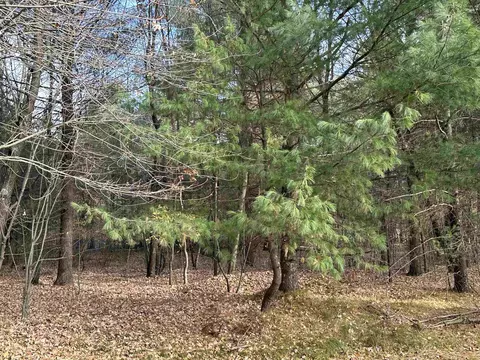 lake drive, Shawano, WI 54166