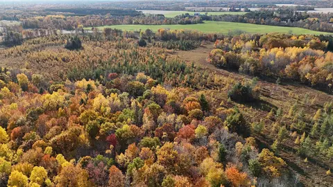 mountain valley drive, Wittenberg, WI 54499