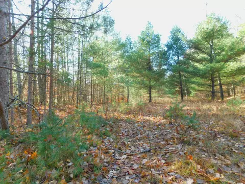 mayer lane, Suring, WI 54171 photo 14