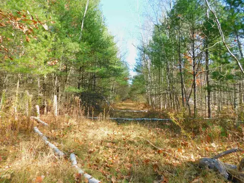 mayer lane, Suring, WI 54171