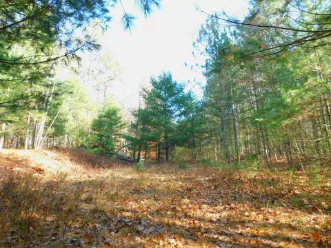 mayer lane, Suring, WI 54171 photo 8