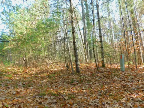 mayer lane, Suring, WI 54171 photo 9