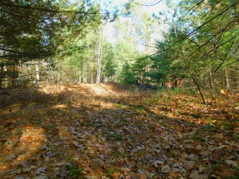 mayer lane, Suring, WI 54171 photo 10