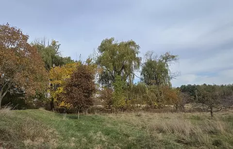 w2228 Badger Avenue, Pine River, WI 54965 photo 55