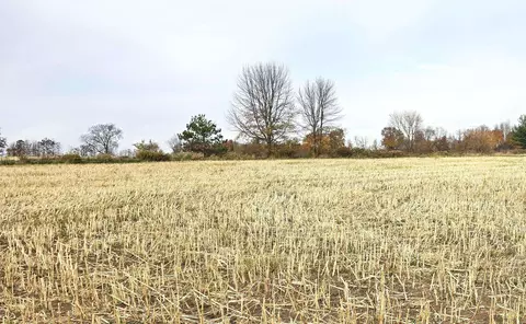 w2228 Badger Avenue, Pine River, WI 54965 photo 52