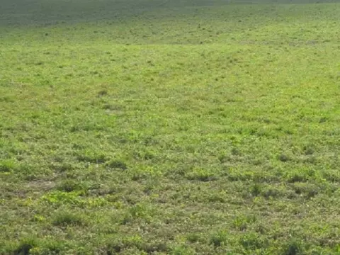 Forest Drive, Saint Cloud, WI 53079 photo 1