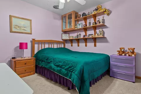 n217 Marion Avenue, Appleton, WI 54915 photo 24