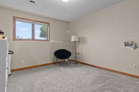 n217 Marion Avenue, Appleton, WI 54915 photo 30