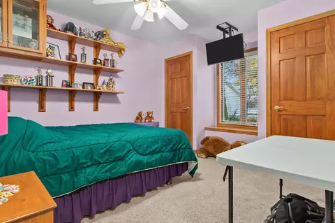 n217 Marion Avenue, Appleton, WI 54915 photo 23