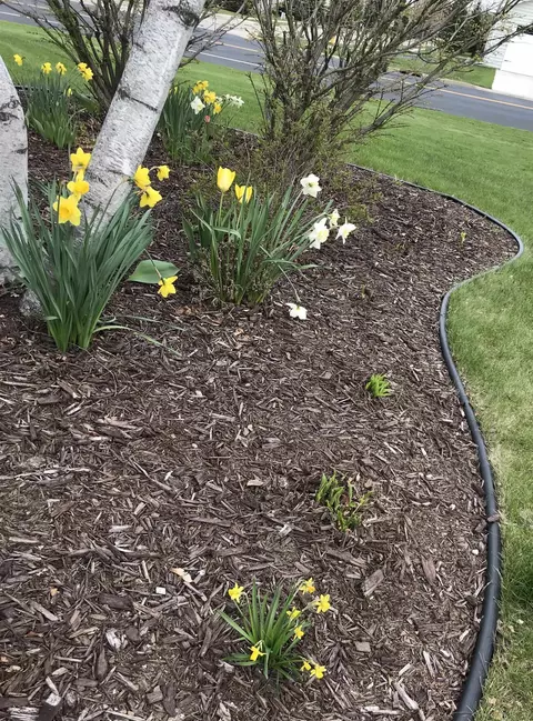 Other - 554 E Gate Dr, Oshkosh, WI 54904 photo 9 of 13