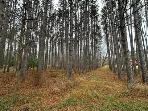 Covered Bridge Road, Waupaca, WI 54981