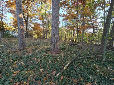 Cree Avenue, Wautoma, WI 54982