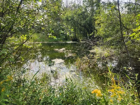 Hwy A, Appleton, WI 54913 photo 5