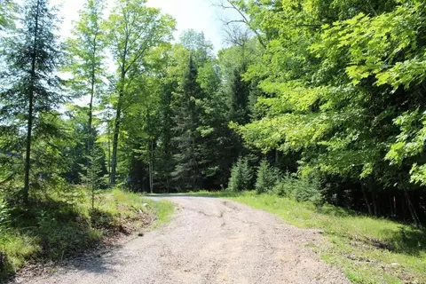 forest lane, Pickerel, WI 54465