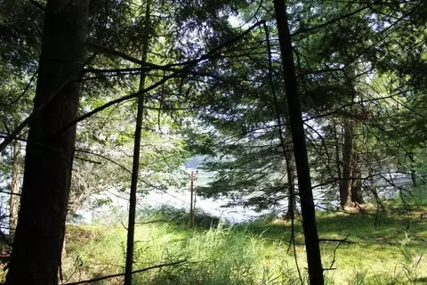 forest lane, Pickerel, WI 54465