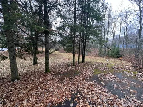 2925 Elm Ln, Wabeno, WI 54138