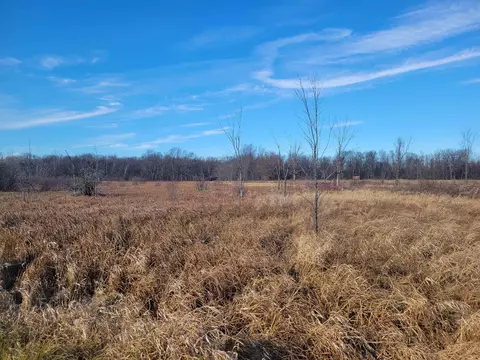 Chicago Lane, Redgranite, WI 54970