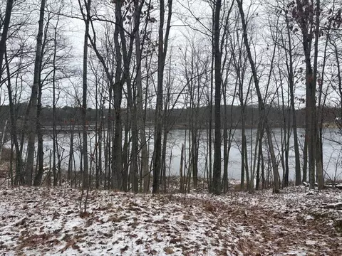 olson road, Wausaukee, WI 54177