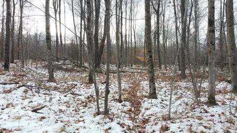 w7701e26 E Th Rd, Crivitz, WI 54114 photo 48