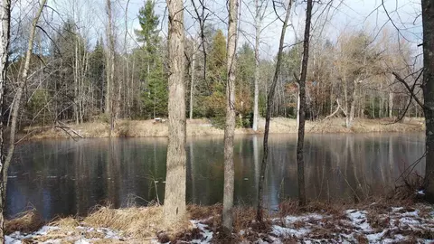 w7701e26 E Th Rd, Crivitz, WI 54114 photo 62