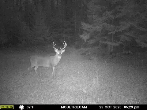 w7701e26 E Th Rd, Crivitz, WI 54114 photo 72
