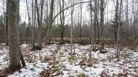 w7701e26 E Th Rd, Crivitz, WI 54114 photo 47