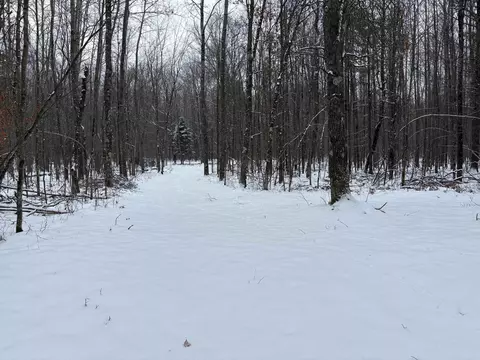 W12066 Jones Road, Athelstane, WI 54104