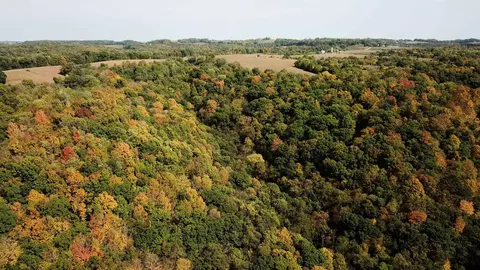 County Road E, Steuben, WI 54657 photo 12