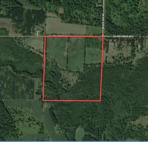Silver Creek Road, Birnamwood, WI 54414