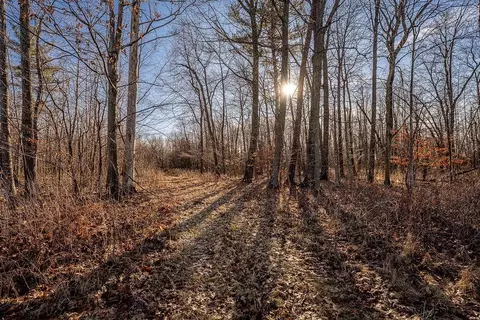 Cty Rd Ii, Fremont, WI 54940