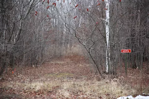4698 E Benelli Ct #21, Abrams, WI 54101 photo 2