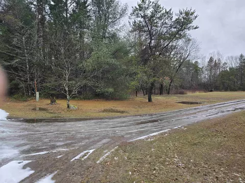 alice lane, Mountain, WI 54149