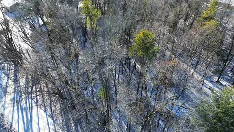 menominee drive, Shawano, WI 54166