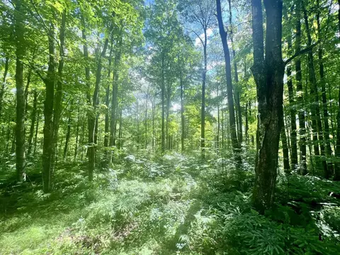 N12948 Limberg Lane #7, Silver Cliff, WI 54104