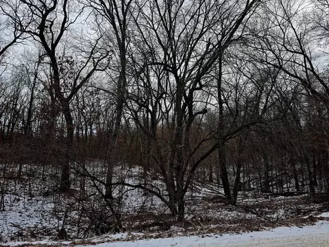 black oak lane lane, Coloma, WI 54930