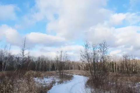 Summit Lake Road, Elcho, WI 54428