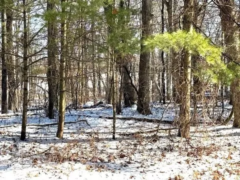 Otter Drive, Waupaca, WI 54981