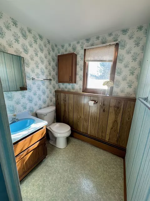 917 Knoke St, Gresham, WI 54128 photo 18