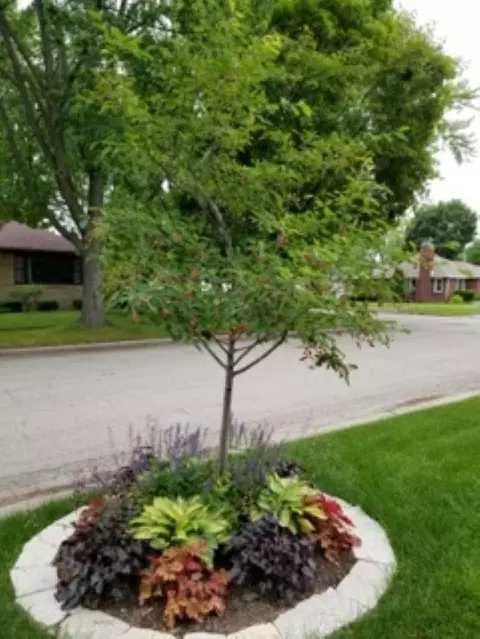 2018 N Kin St, Appleton, WI 54911 photo 23