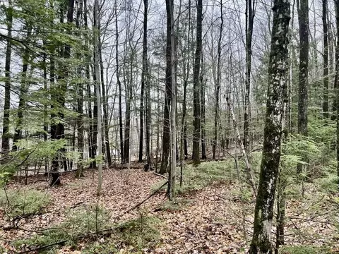 creek road, Wausaukee, WI 54177
