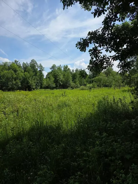10555 Easement Rd, Tipler, WI 54542 photo 4