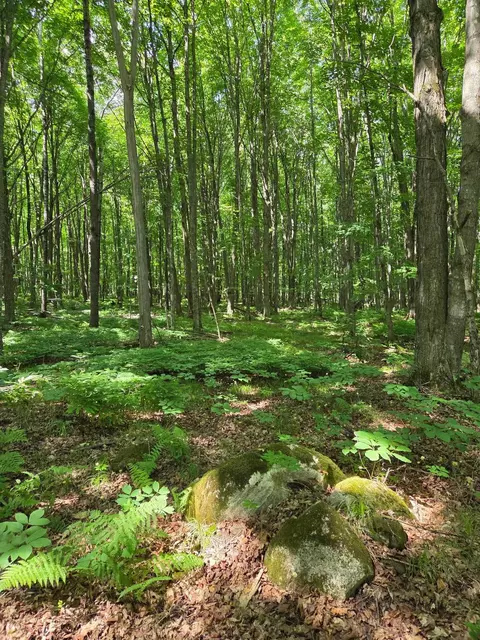 10555 Easement Rd, Tipler, WI 54542