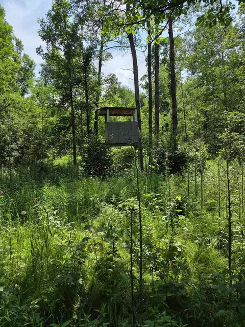 10555 Easement Rd, Tipler, WI 54542 photo 2