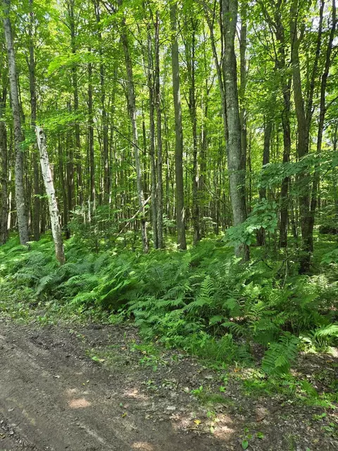 10555 Easement Rd, Tipler, WI 54542 photo 7