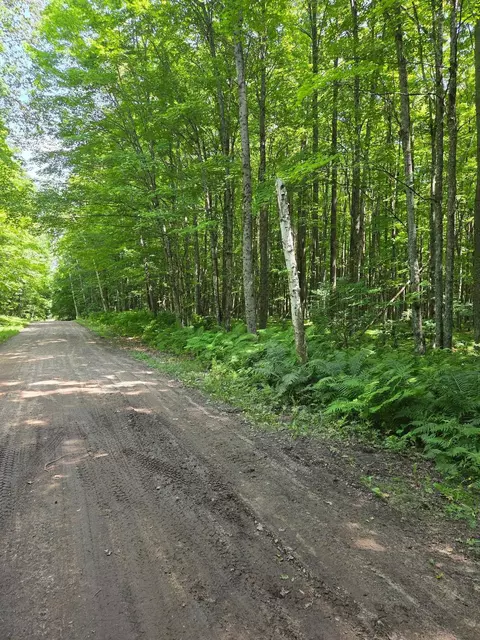 10555 Easement Rd, Tipler, WI 54542 photo 6