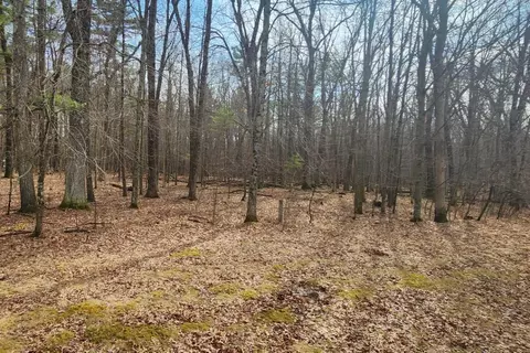 s badger lane, Arkdale, WI 54613