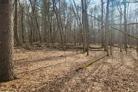 s badger lane, Arkdale, WI 54613