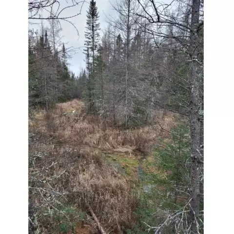 20403 Kempf Rd, Glidden, WI 54527 photo 6