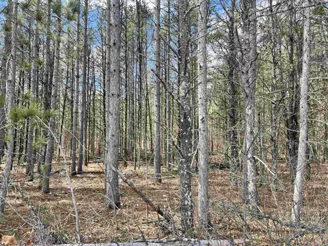 mickey road, Crivitz, WI 54114